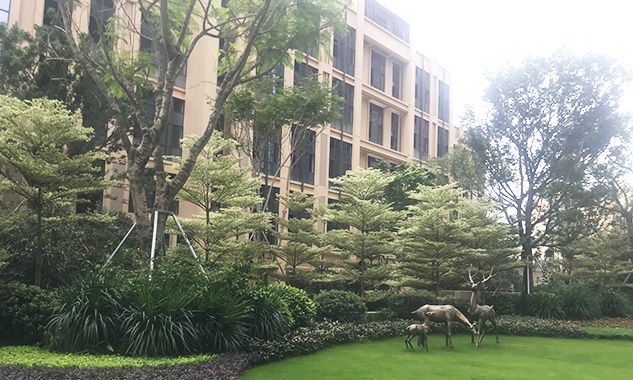 凯东吉祥悦府绿树成荫