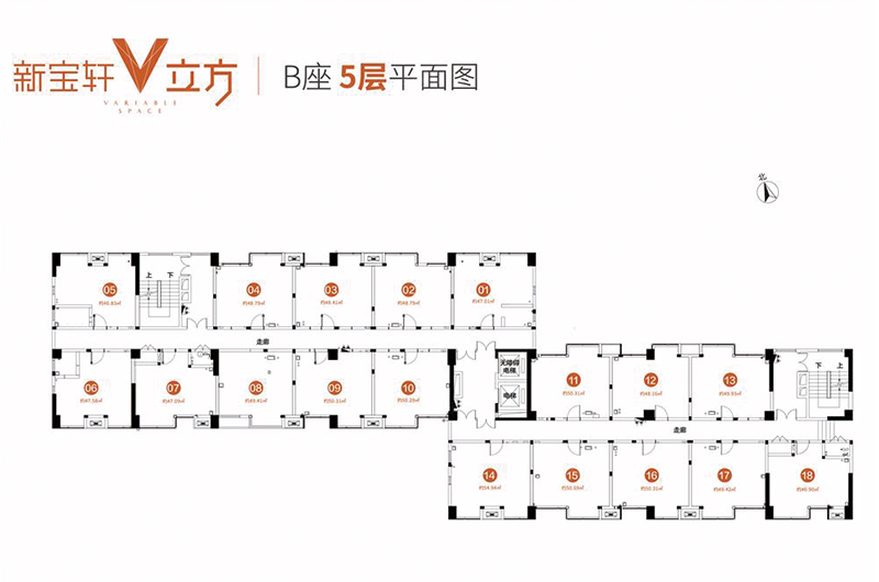 B座5层47-55㎡平面户型图