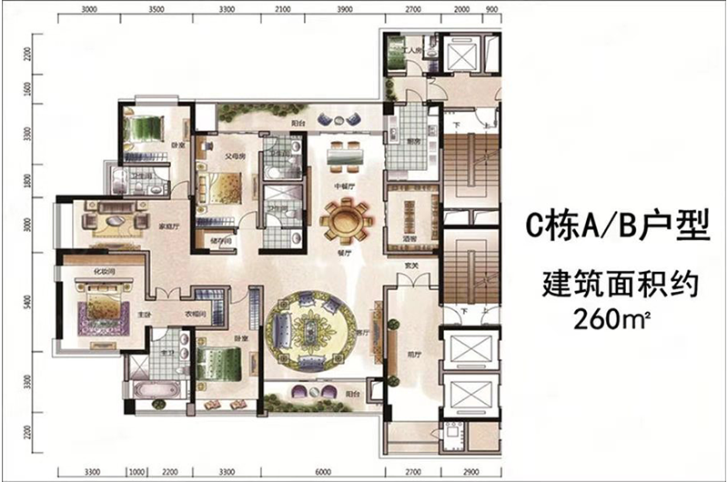 公寓C栋A/B户型6室3厅4卫