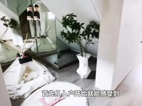 什么样的户型更适合养猫