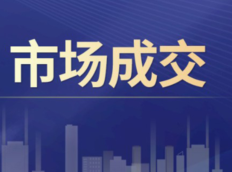 深圳2023年上半年总结！新房住宅成交16209套，二手房住宅成交16236套